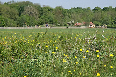 Hinchingbrooke Country Park Cafe Hinchingbrooke Country Park Cafe