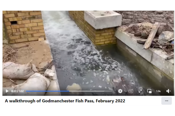 Fish pass opens video