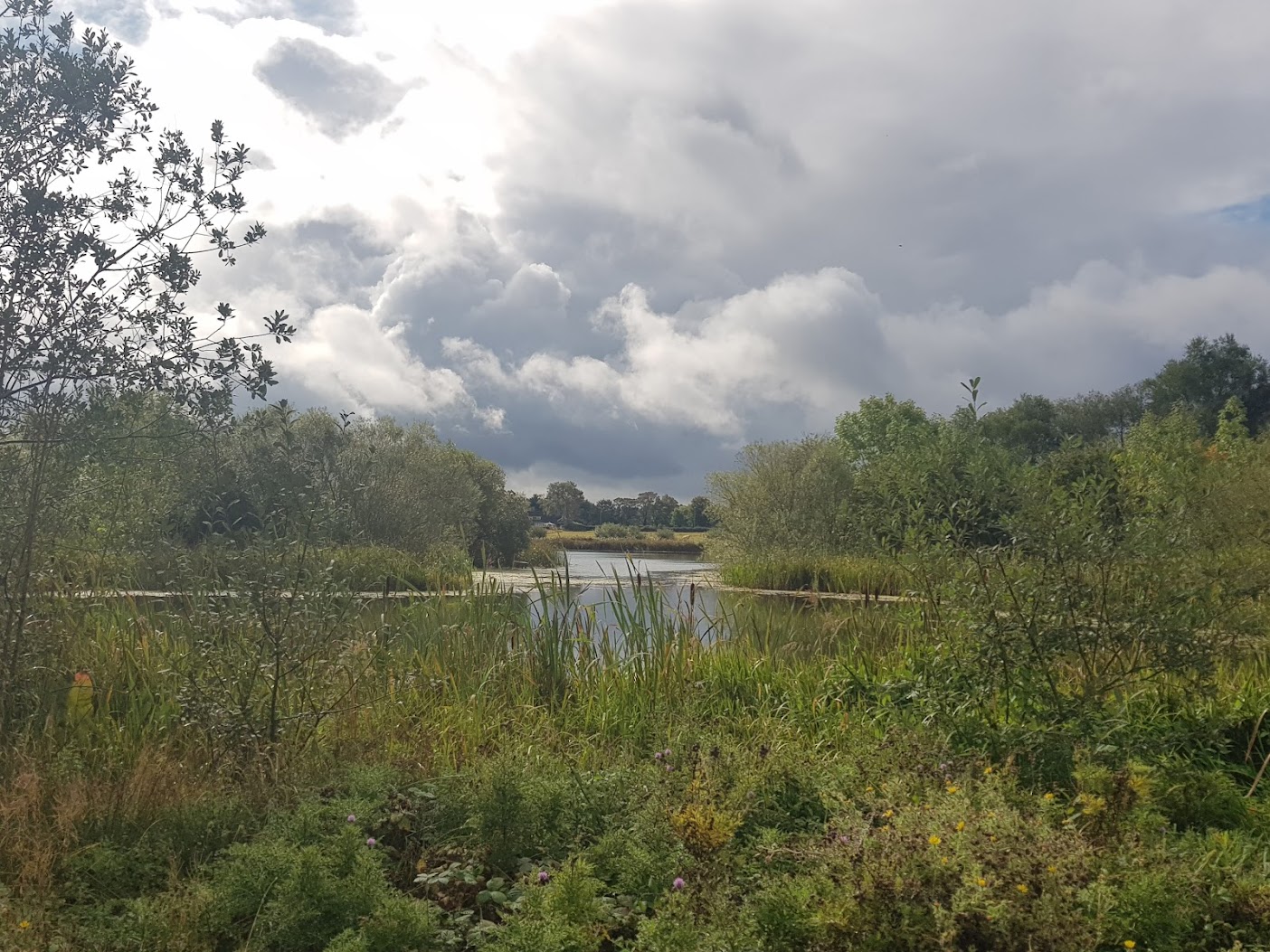 Hinchingbrooke park