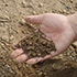 Soil Soil